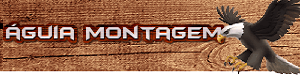 empresa aguia montagem de moveis